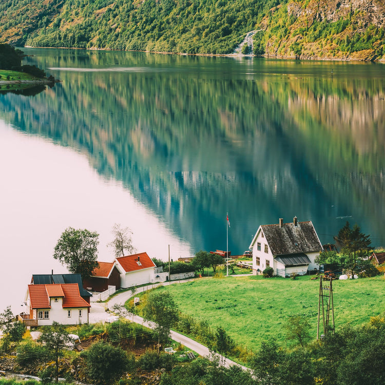 A scandinavian landscape with a lake, small houses and trees